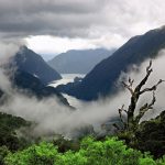 Интересные факты о Новой Зеландии — ТОП 26 фактов о природе