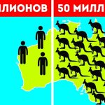 Интересные факты об Австралии — ТОП 34 фактов об уникальных животных